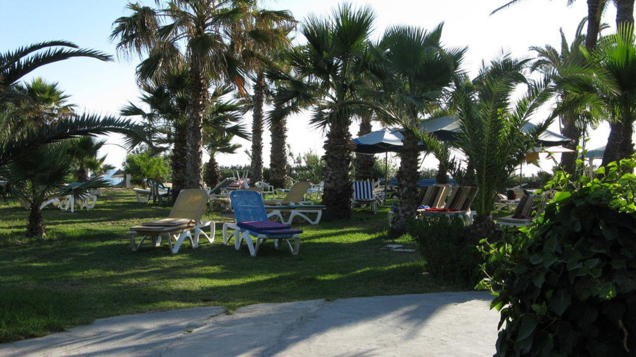 schöner Garten mit Liegen Riadh Palms Resort & Spa