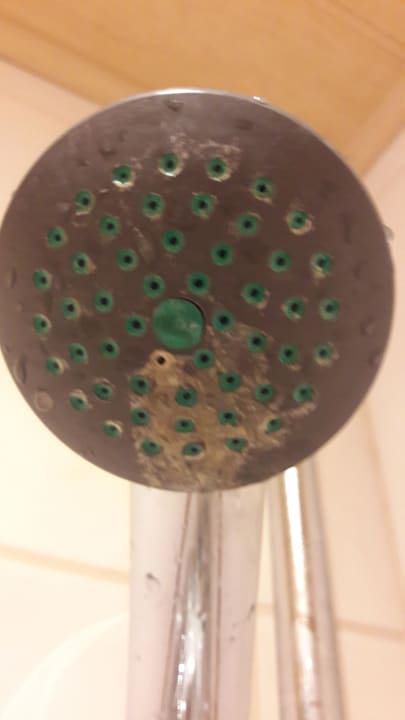 Duschkopf verkalkt Hotel Traunerhof