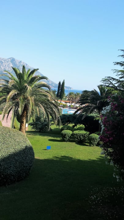 Gartenanlage Iberostar Waves Bellevue