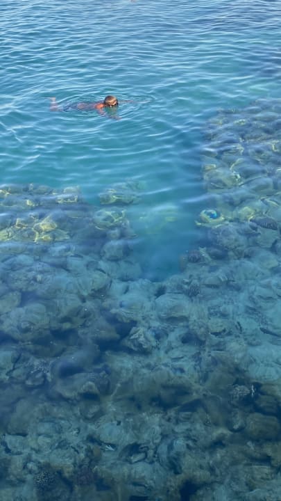 Außenansicht Gravity Hotel & Aquapark Sahl Hasheesh