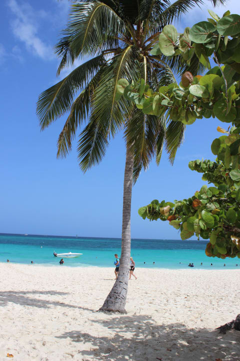 Strand Sol Rio De Luna y Mares