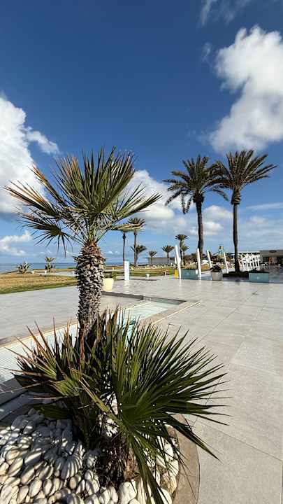 Außenansicht Iberostar Selection Kuriat Palace