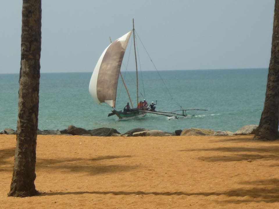 Katamaran Club Hotel Dolphin