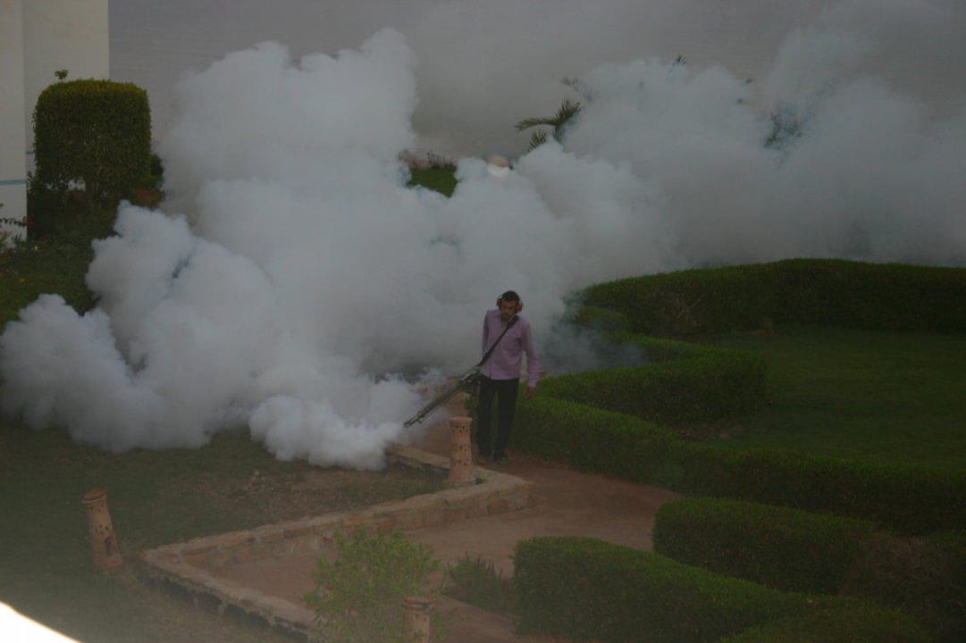 Insektenbekämpfung Three Corners Equinox Beach Resort