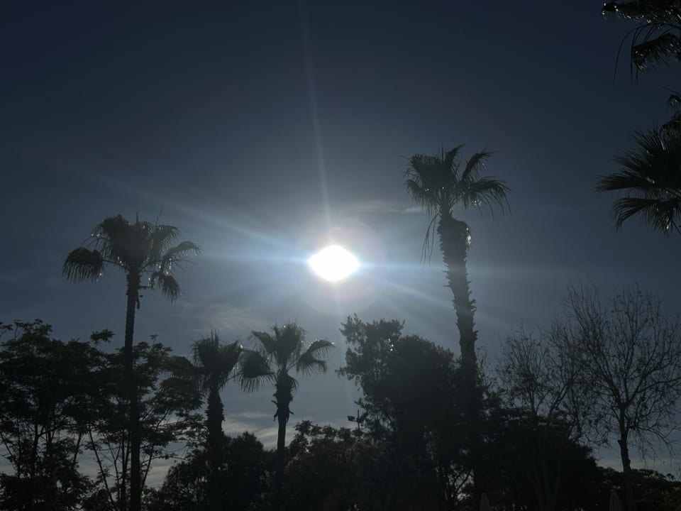 Ausblick Labranda Alantur Resort