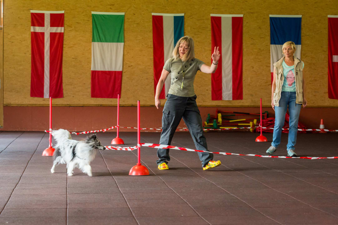 Sport & Freizeit Hundesporthotel Wolf