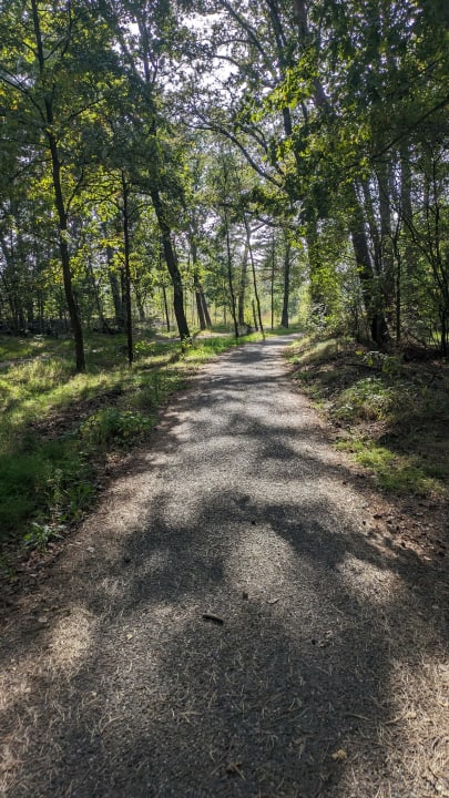 Gartenanlage Center Parcs De Kempervennen