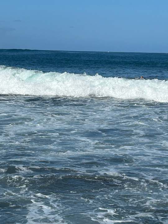 Strand Alexandre Hotel Gala