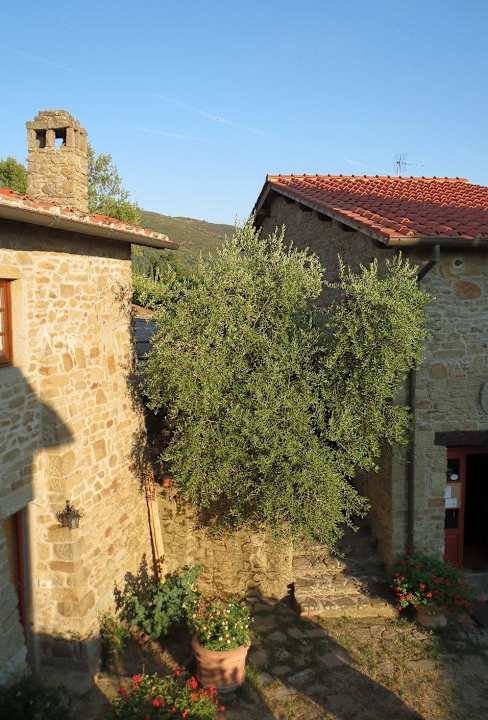 Hof Apartment Bellavista Castelfranco Sopra