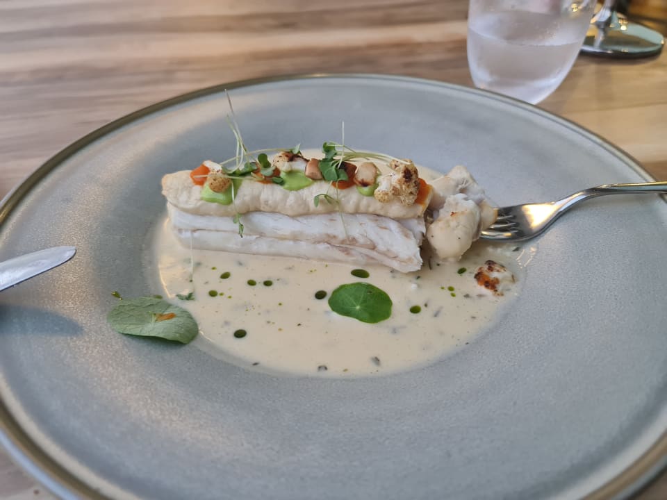 Gastro Acanthus Cennet Barut Collection