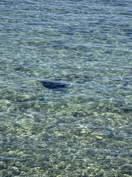 Sport & Freizeit Mövenpick Resort El Quseir