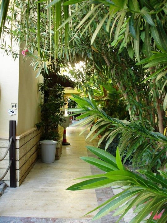 Eingang zum Hotel Safari Suit Hotel