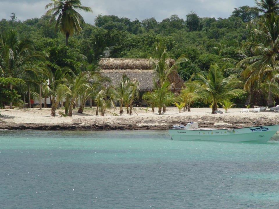 Ausflug - Insel Saona Hotel Riu Palace Punta Cana