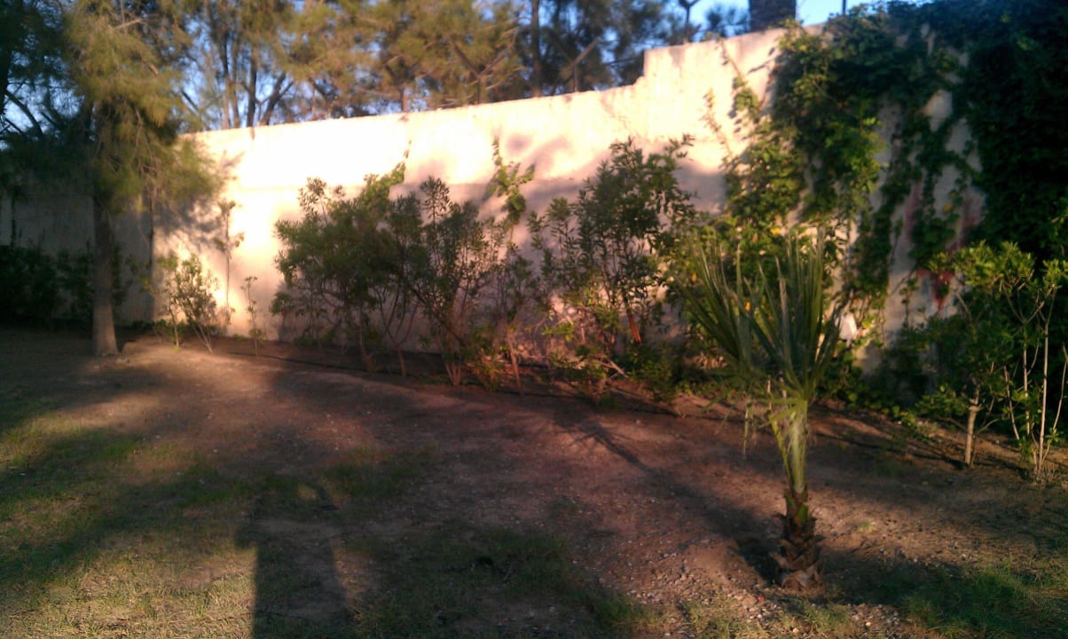 Ausblick Erdgeschosszimmer Mahdia Beach & Aquapark