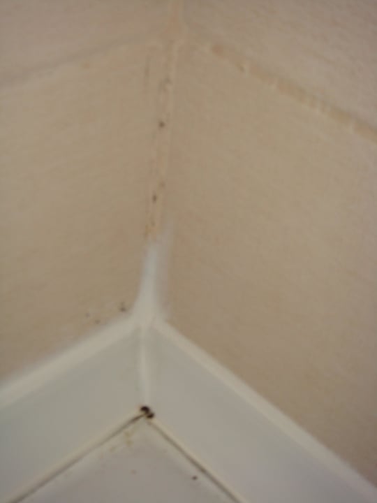 Schimmelansatz entlang Gummi im Duschbereich - Bad FUN&SUN Smart Hane Sun Hotel