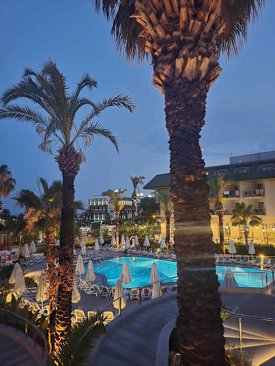 Pool Hotel Novum Garden Side