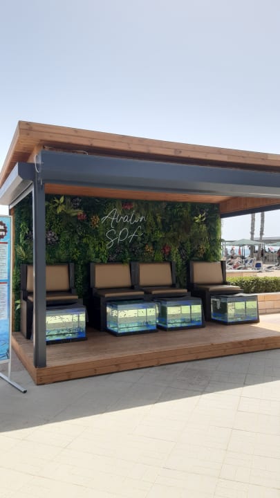 Strand Adora Hotel & Resort