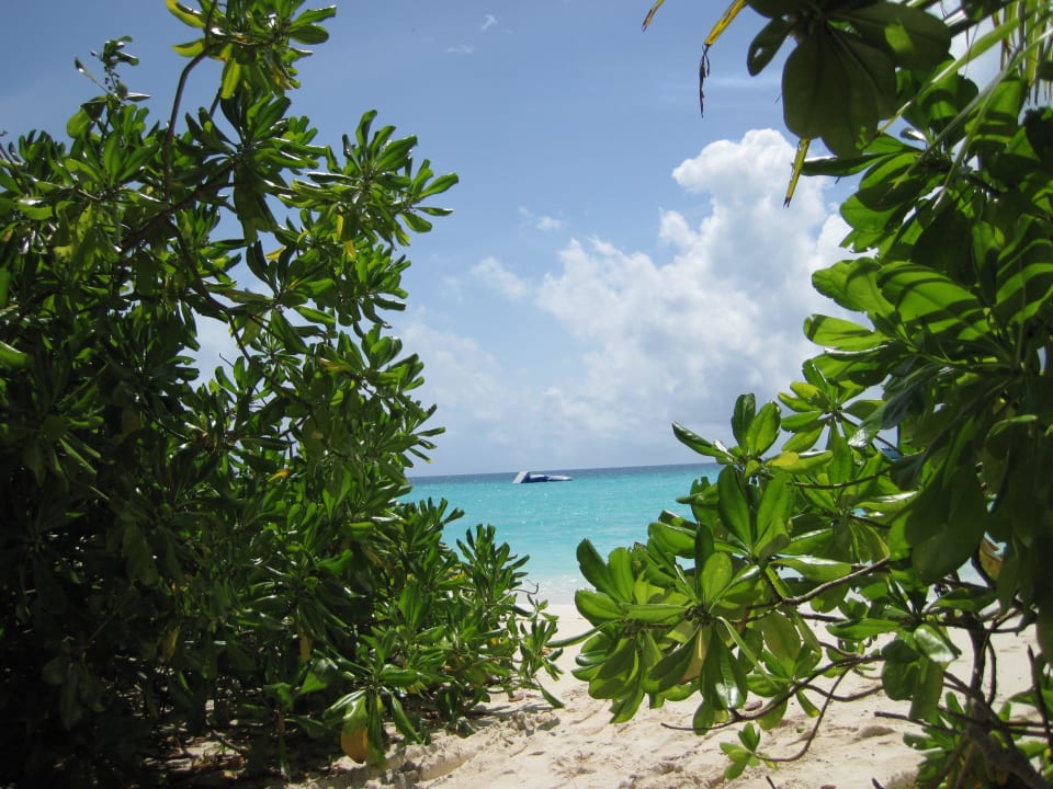 Strand vor den Beach-Villas Nr. 30-37 Kuramathi Maldives