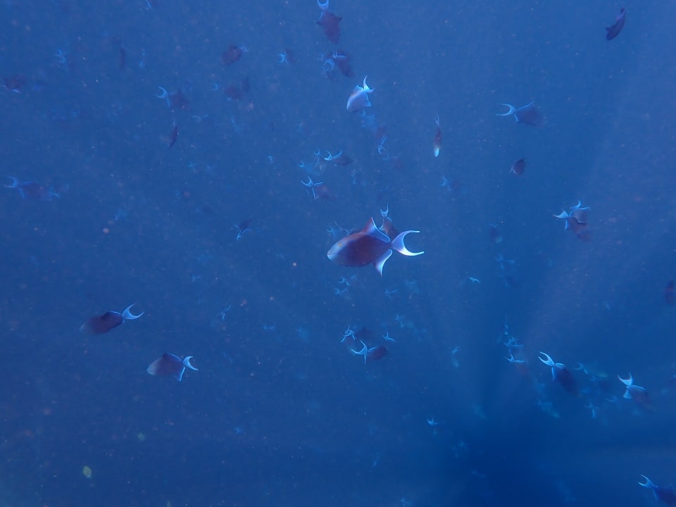 Strand NH Collection Maldives Reethi Resort