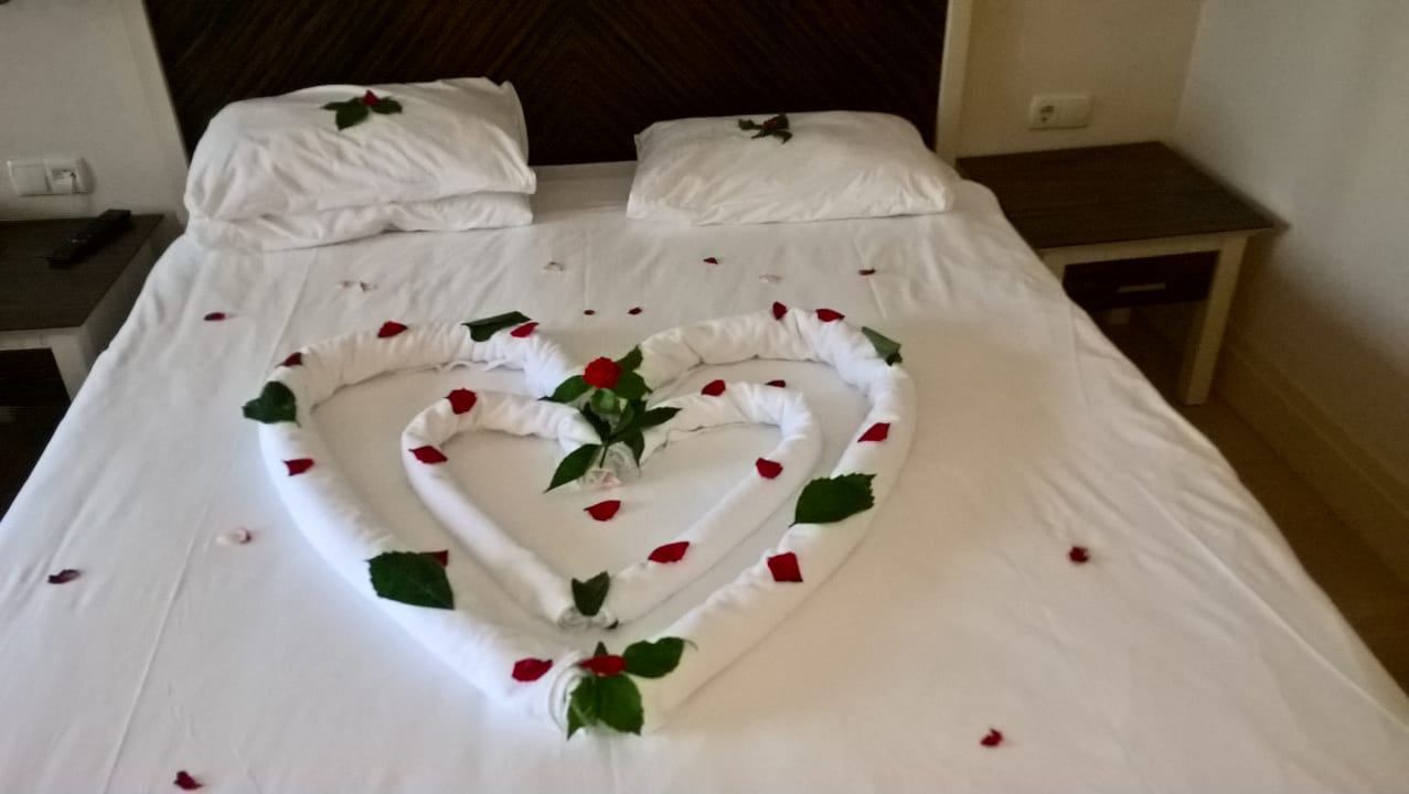 Zimmer Aydinbey Kings Palace & Spa