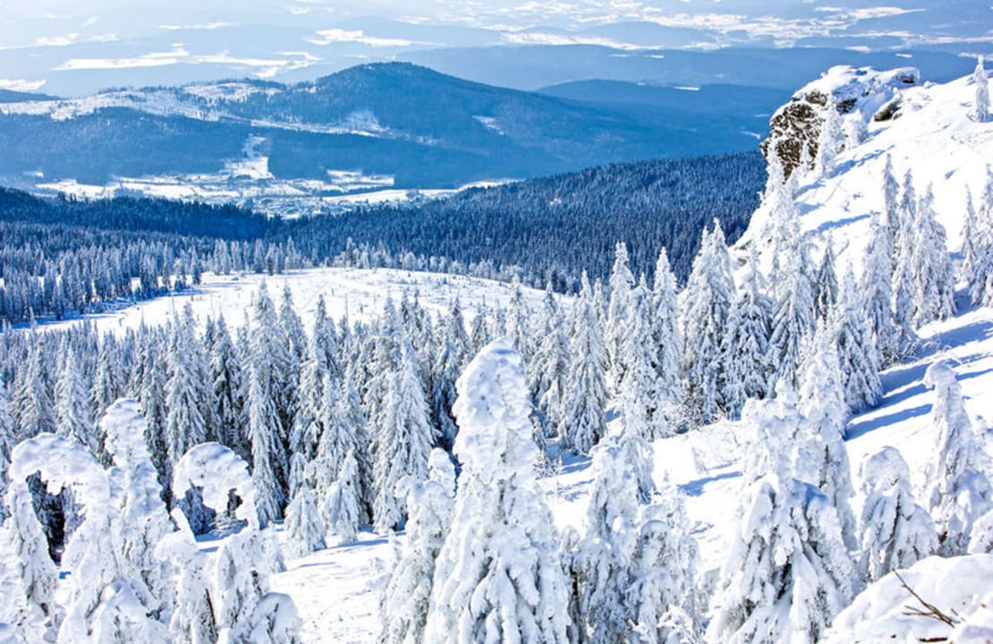 Ausblick Bayerische Gastwirtschaft Dimpfl-Stadl