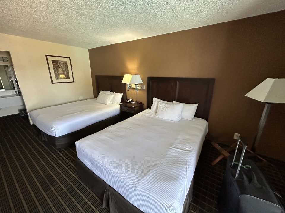 Zimmer Magnuson Hotel Zephyrhills