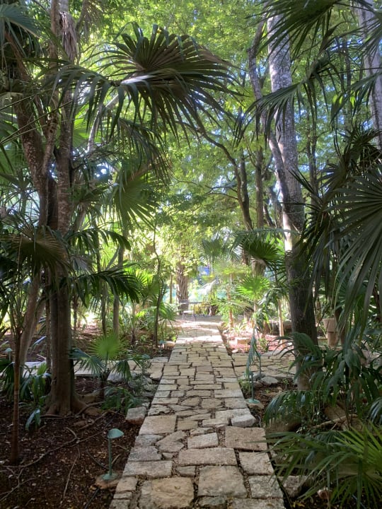 Gartenanlage Hotel Hacienda Santa Rosa