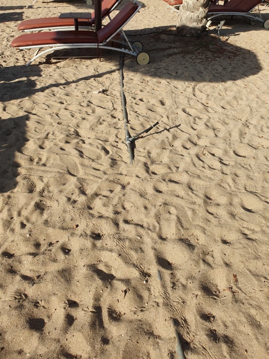 Strand Miramar Al Aqah Beach Resort