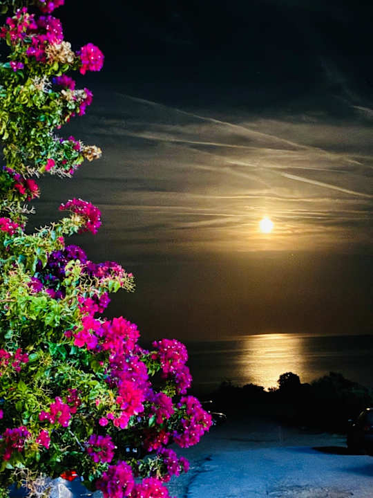 Ausblick Hotel Maistrali