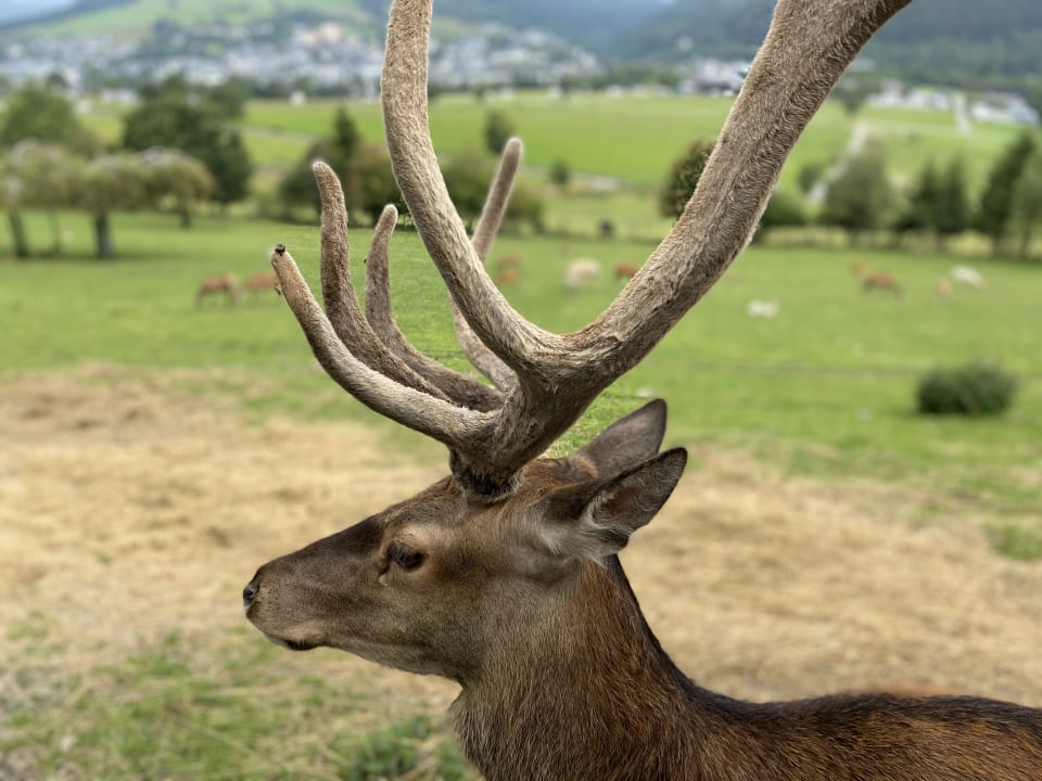 Gartenanlage Wiesenberghof
