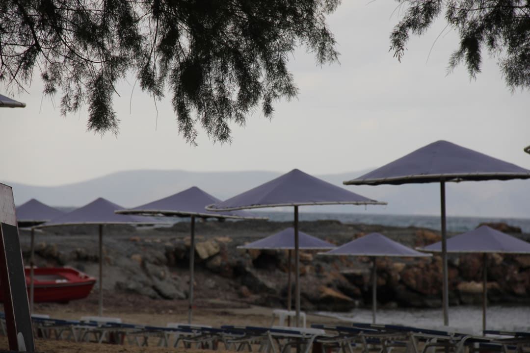 Kleiner magerer Hotelstrand Hotel Aphrodite Beach Club