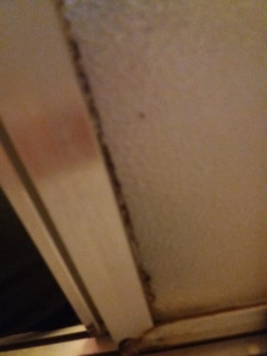 Zimmer Stadt-Hotel Bad Hersfeld