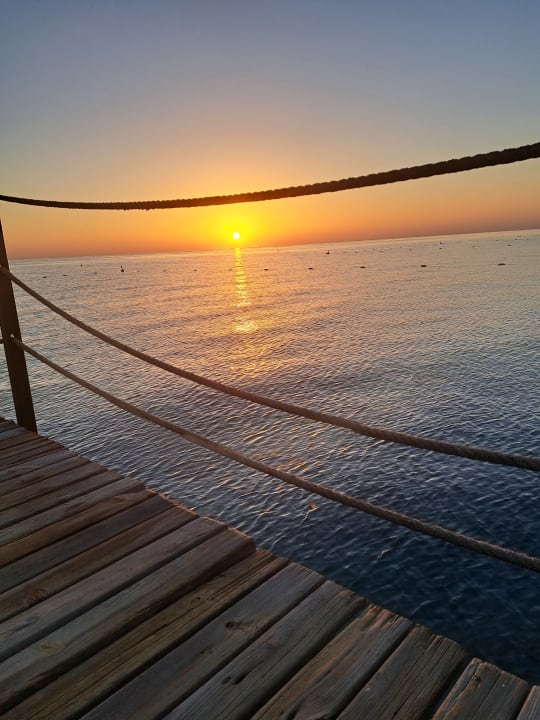 Strand Crystal Flora Pearl Collection