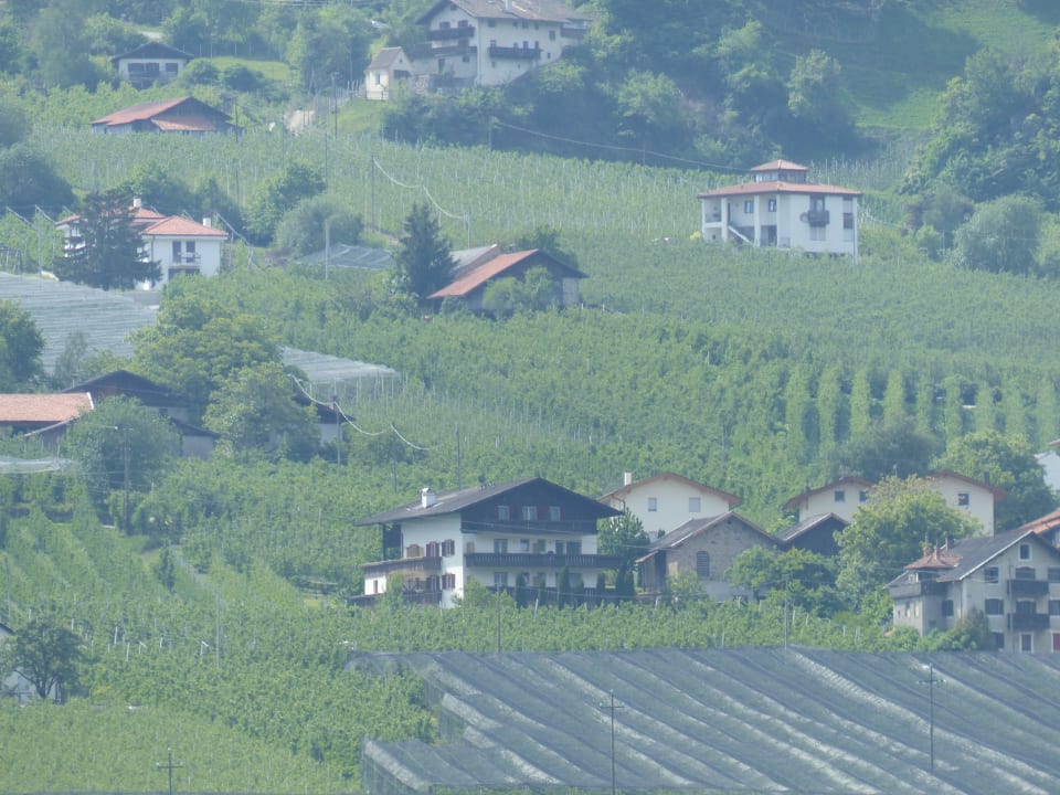 Von der Burg Juval aus  Pension Gletscherblick