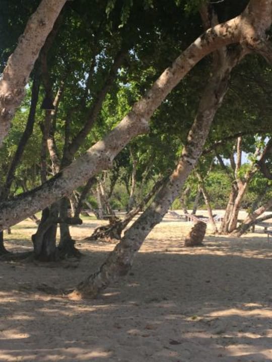 Strand Koh Yao Yai Village
