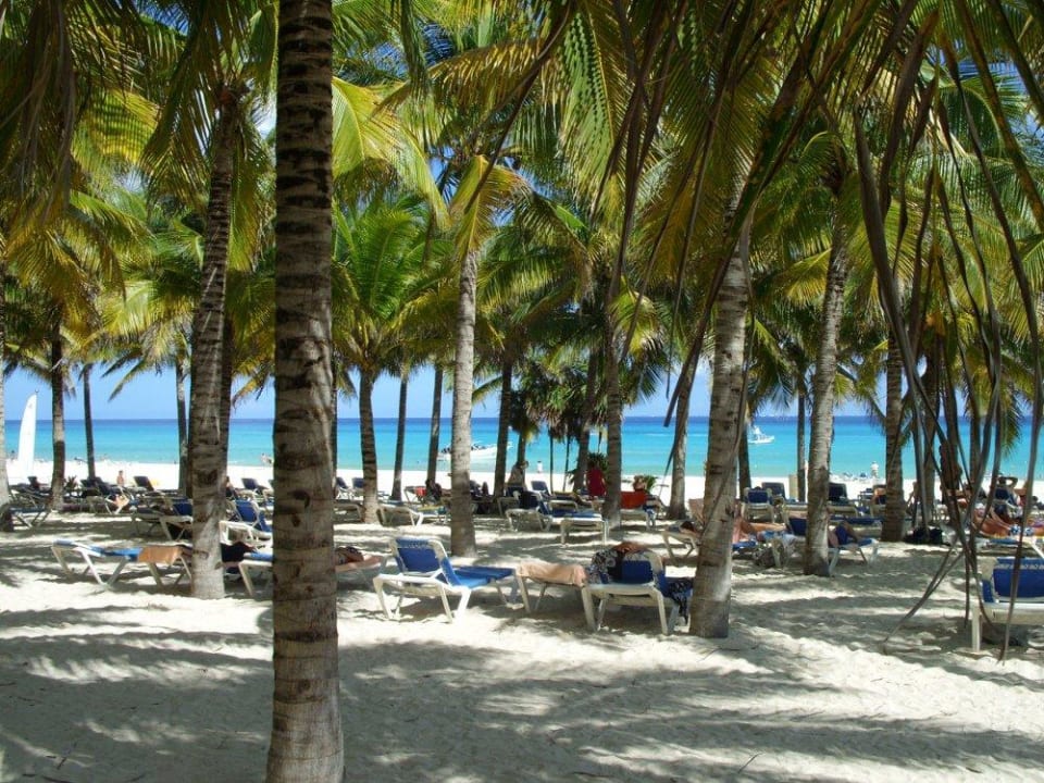 Karibik-Strand Hotel Riu Palace Riviera Maya