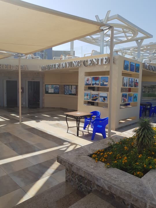 Sport & Freizeit Pickalbatros White Beach Resort - Hurghada