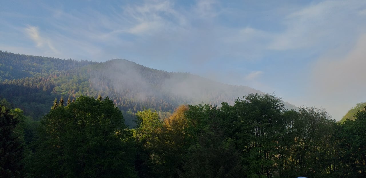 Ausblick Panoramic - Ihr Apartmenthotel im Harz