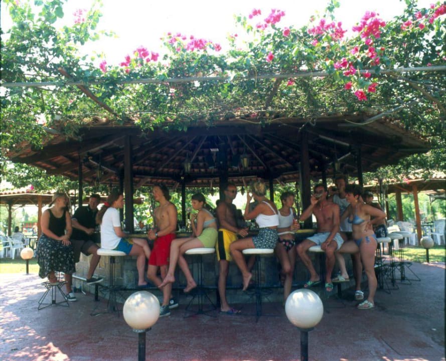 Bar Alfa Hotel