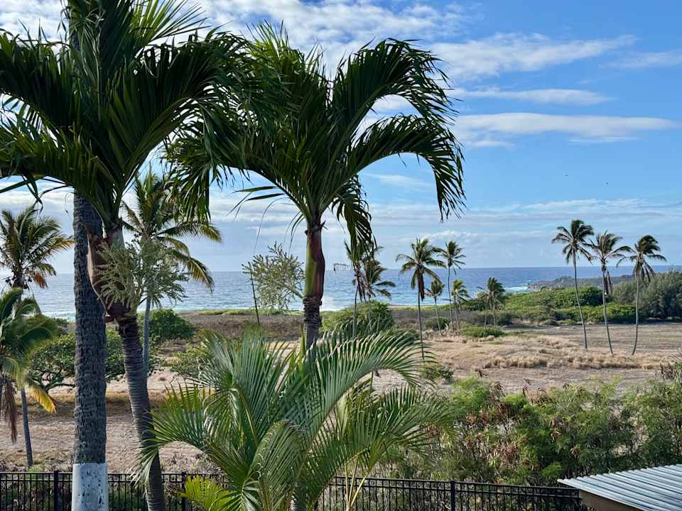 Ausblick Sea Mountain Apartments