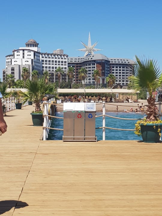 Strand Royal Seginus