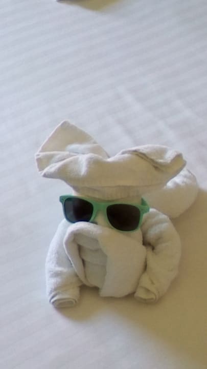 Restaurant Hotel Lion Sunny Beach