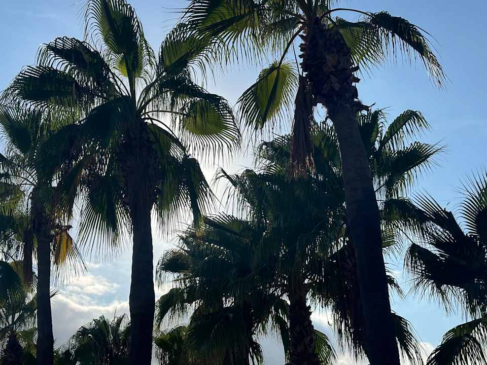 Gartenanlage Limak Limra Hotel & Resort