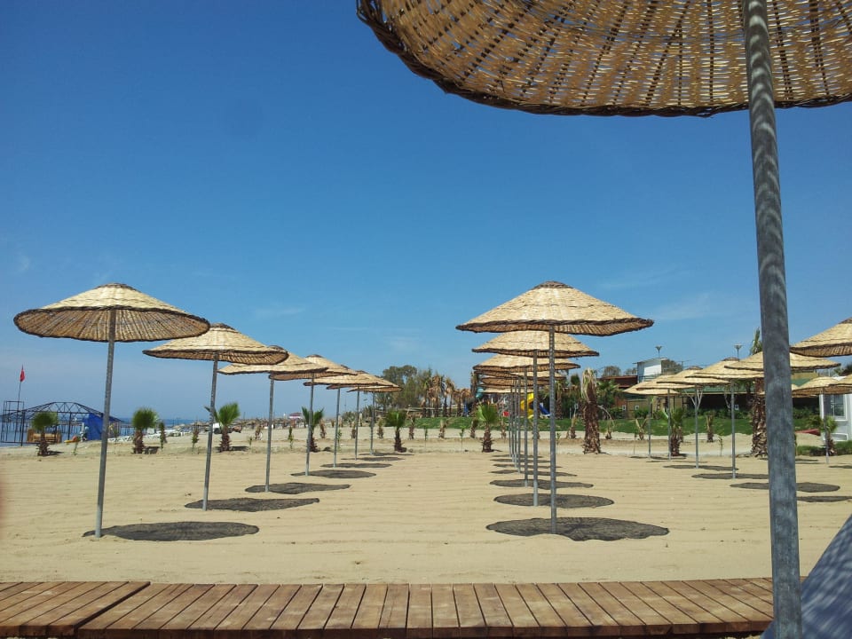 Strand Dizalya Palm Garden