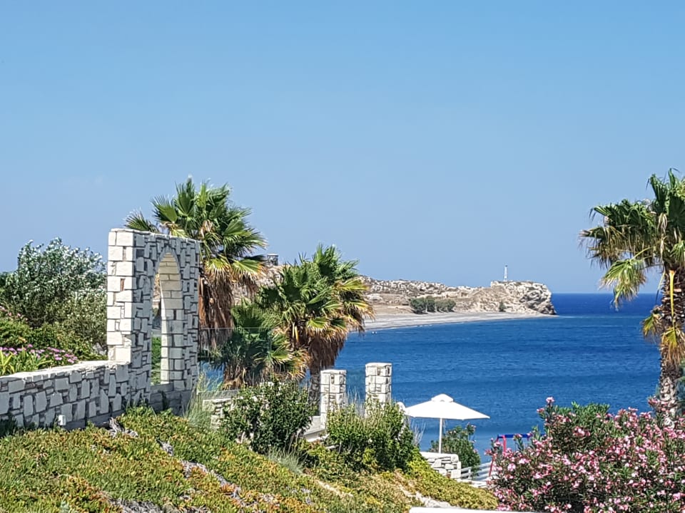 Ausblick Dimitra Beach Hotel & Suites