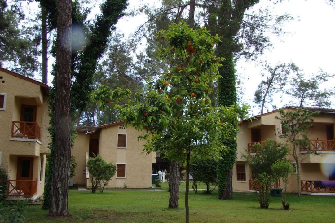 Внешний вид Kimeros Park Holiday Village