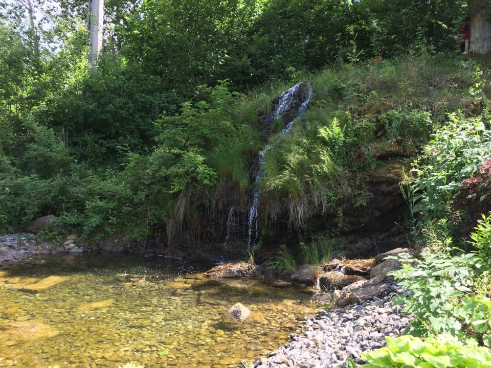 Gartenanlage Spirit & SPA Hotel Birkenhof am Elfenhain