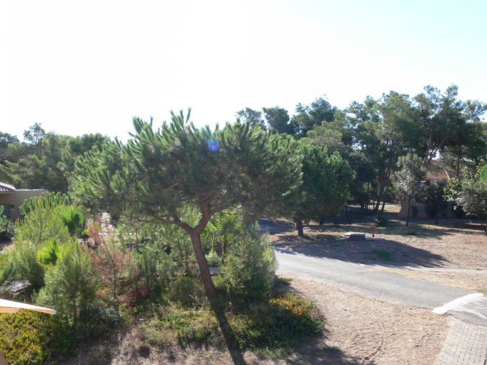 Blick aus dem Fenster Belambra Riviera Beach Club
