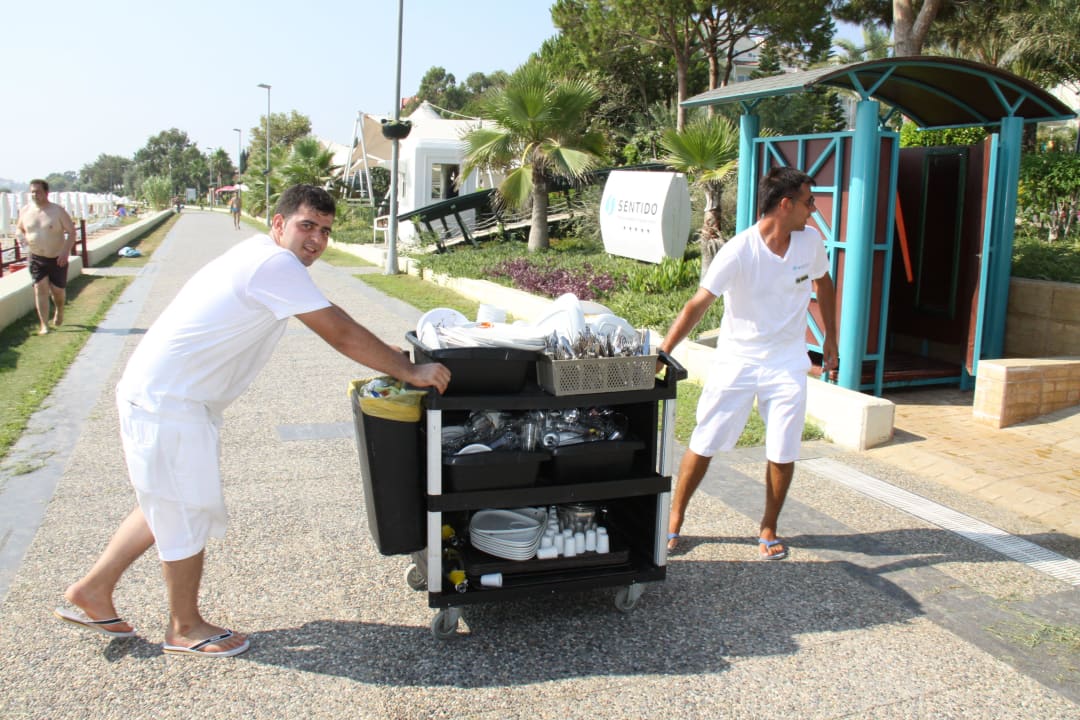 Schwer arbeiter  PALOMA Perissia