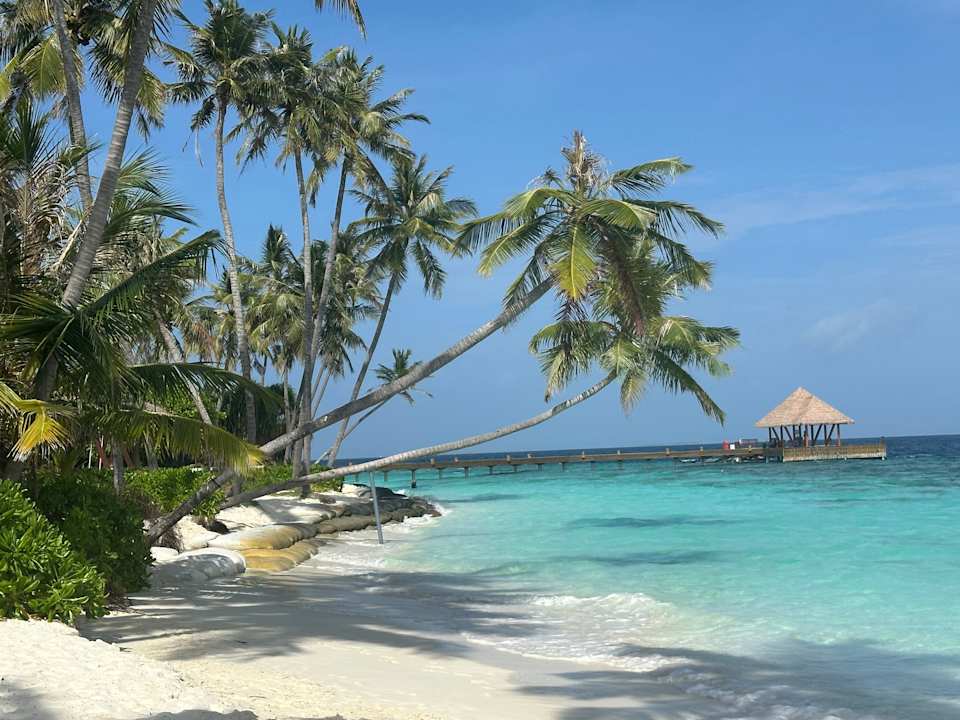 Ausblick Reethi Faru Resort